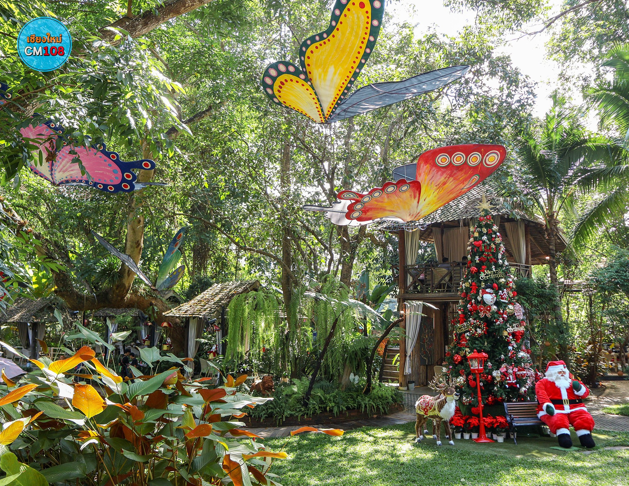 586313212 1401650407997708 4074189551764591884 n