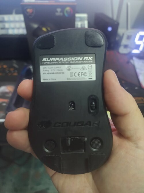 629586035 26501852926079516 1806920765481206338 n