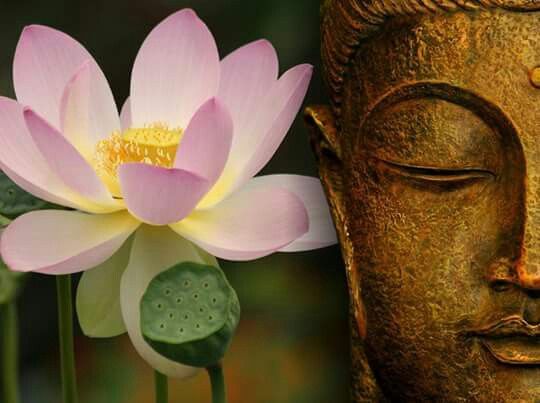 .พระคาถากำลังวันเกิด.