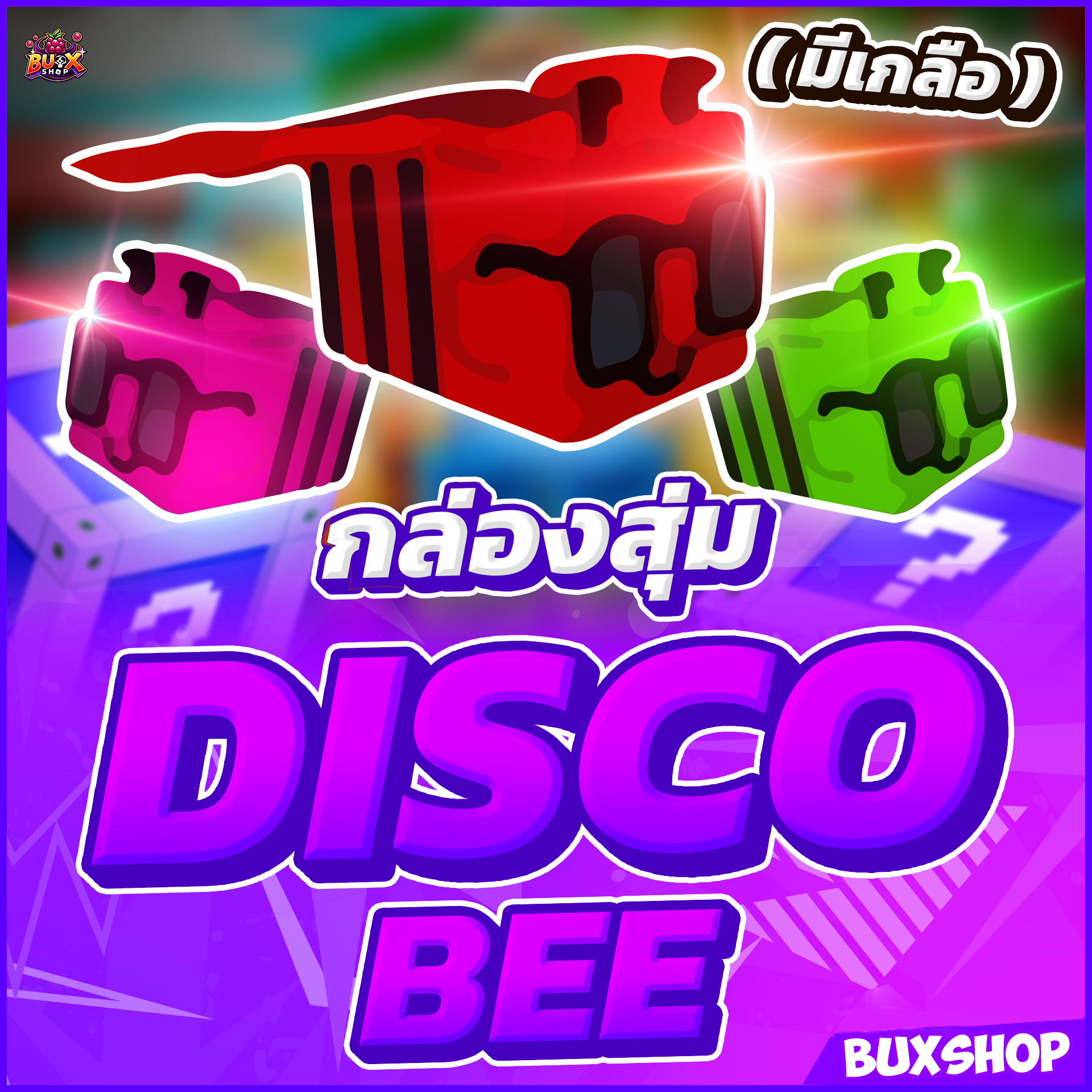 กล่องสุ่ม Disco BEE 🐝