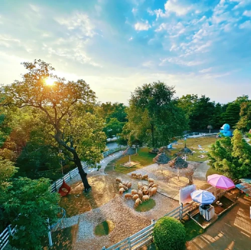 6asSACKTHZbZalrP7PO4