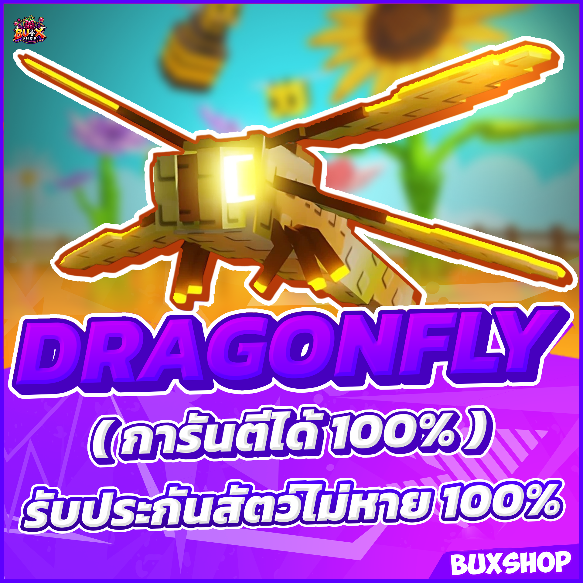 Dragon fly แมลงปอ