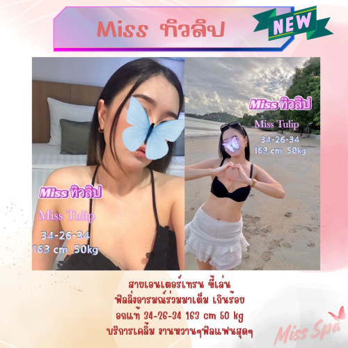 ทิวลิป" border="0