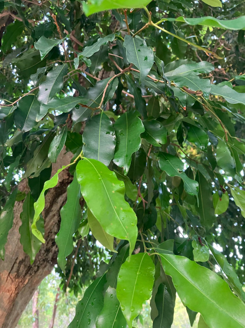 8d02fae0 2779 4db7 be91 49302840b386