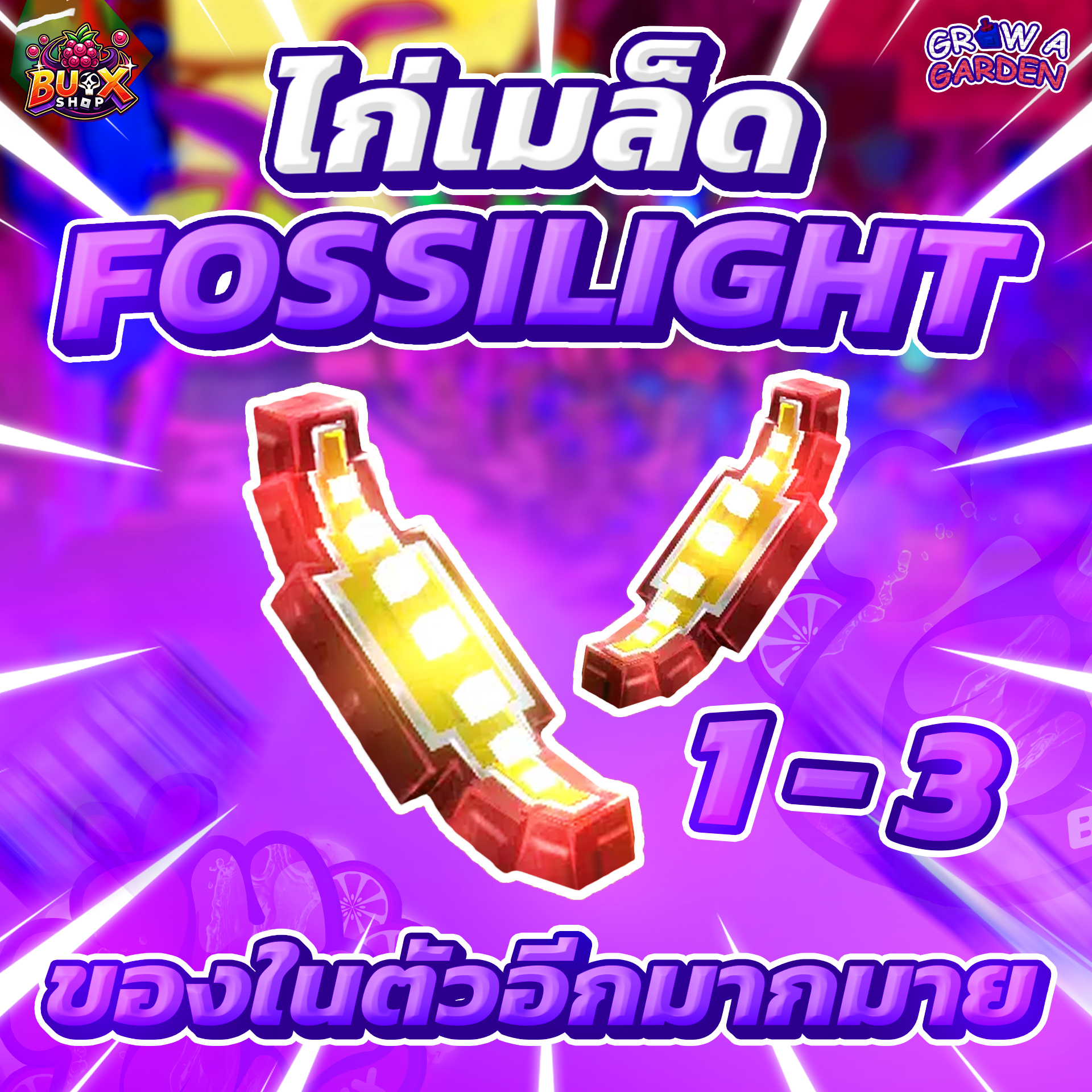 ไก่เมล็ด FOSSILIGHT
