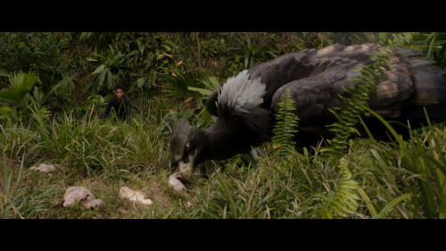After.Earth.2013.1080p.NF.WEB-DL.DDP5.1.H264Argon-.mkv_snapshot_01.01.49.636.jpg