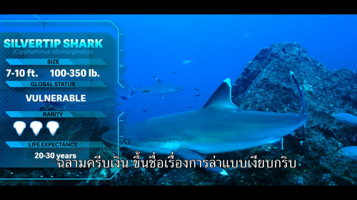 All.the.Sharks.S01E01.1080p.NF.WEB-DL.DDP5.1.H264.mkv_snapshot_37.14.338.jpg