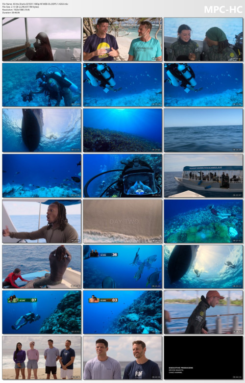 All.the.Sharks.S01E01.1080p.NF.WEB-DL.DDP5.1.H264.mkv_thumbs.jpg