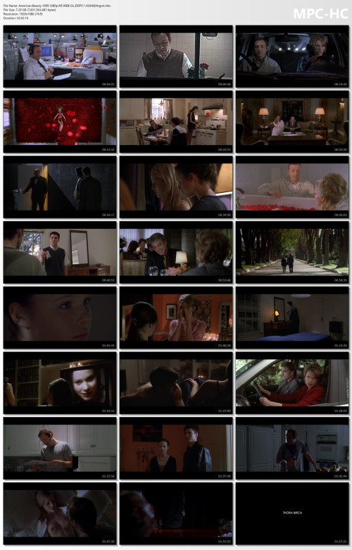 American.Beauty.1999.1080p.NF.WEB-DL.DDP5.1.H264Argon.mkv_thumbs.jpg