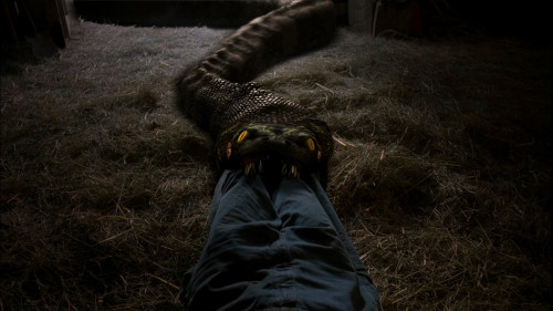 Anaconda.3.Offspring.2008.1080p.AMZN.WEB-DL.DDP5.1.HEVC.H265Argon-.mkv_snapshot_00.35.00.865.jpg