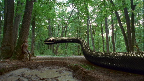 Anaconda.3.Offspring.2008.1080p.AMZN.WEB-DL.DDP5.1.HEVC.H265Argon-.mkv_snapshot_00.53.44.741.jpg