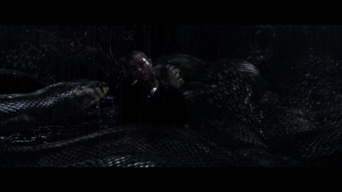Anacondas.The.Hunt.For.The.Blood.Orchid.2004.1080p.AMZN.WEB-DL.DDP5.1.HEVC.H265Argon-.mkv_snapshot_01.28.50.925.jpg