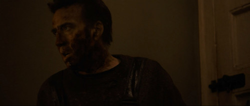 Arcadian.2024.1080p.AMZN.WEB-DL.DDP5.1H264Argon.mkv_snapshot_01.15.44.918.jpg