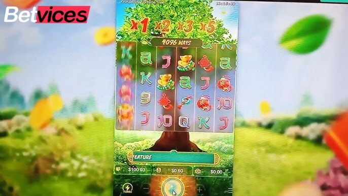 Betvice เกม Tree of Fortune สล็อตต้นไม้แห่งโชคลาภ กลางบท