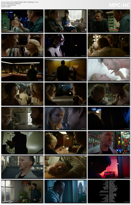 Birdman.2014.1080p.NF.WEB-DL.DDP5.1.H264Argon-.mkv_thumbs.jpg