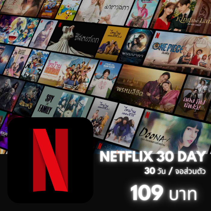 Netflix 4K /30วัน (จอส่วนตัว)