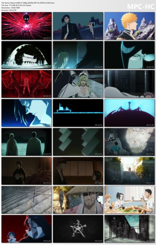 Bleach.S08E14.1080p.AMZN.APP-DL.DDP2.0.H264.mkv_thumbs.jpg