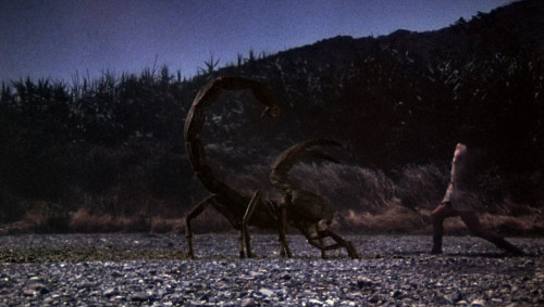 Clash.of.the.Titans.1981.1080p.iT.WEB-DL.DDP2.0.H264Argon-.mkv_snapshot_01.35.15.405.jpg