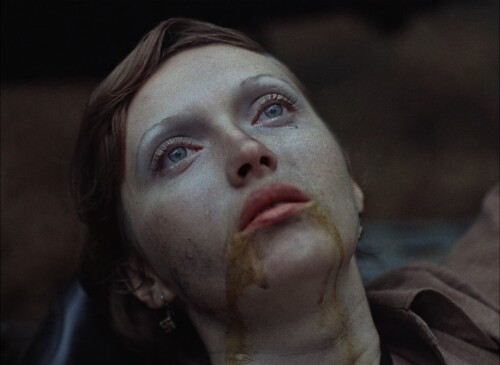 Come-And-See-Idi-i-smotri-1985-Criterion-1080p-BluRay-x265-DD-3.1-Google.mkv_snapshot_02.02.23.063.jpeg
