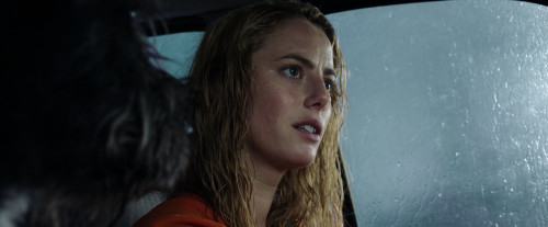 Crawl.2019.1080p.iT.WEB-DL.DDP7.1.H264Argon-.mkv_snapshot_00.11.00.718.jpg