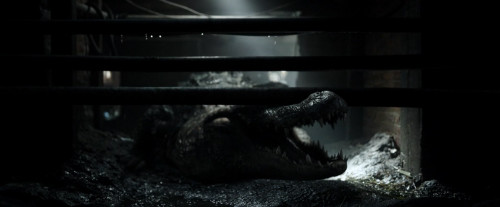 Crawl.2019.1080p.iT.WEB-DL.DDP7.1.H264Argon-.mkv_snapshot_00.21.54.480.jpg