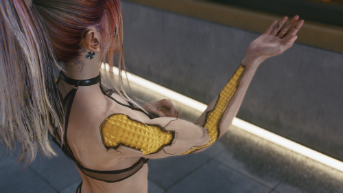 Cyberpunk2077-2024-09-05-19-35-08.png