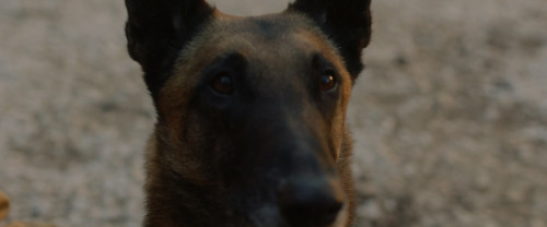 Dakota.2022.1080p.iT.WEB-DL.DDP5.1.H264Argon-.mkv_snapshot_01.30.15.886.jpg