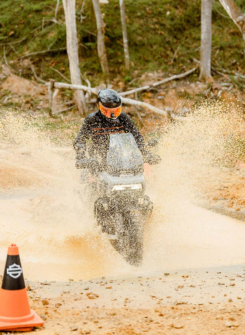 Dirt Master 42 copy 2