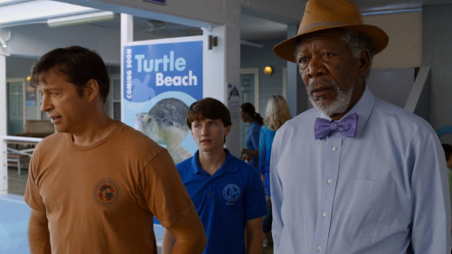 Dolphin.Tale.2.2014.10780p.iT.WEB-DL.DDP5.1.H264Argon.mkv_snapshot_00.24.07.837.jpg