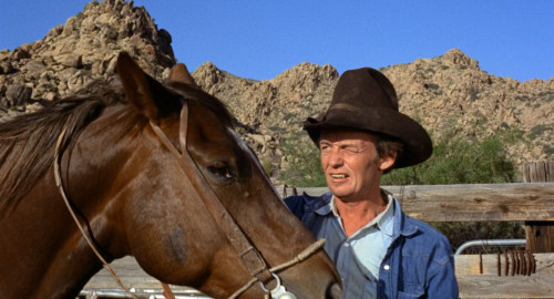 Easy.Rider.1969.1080p.iT.WEB-DL.DDP5.1.H264Argon.mkv_snapshot_00.13.17.518.jpg