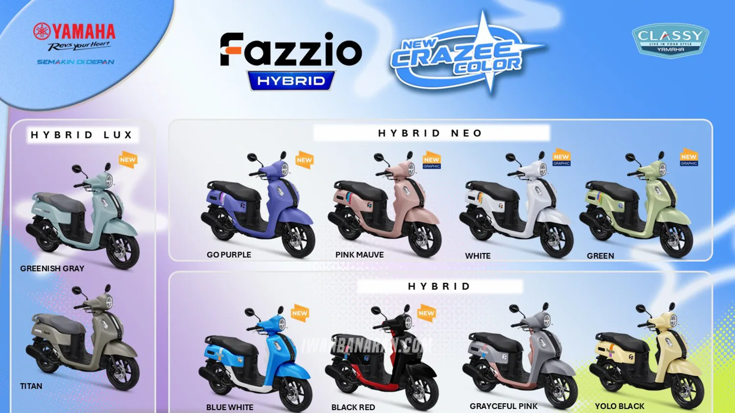 Fazzio Hybrid New Crazee color