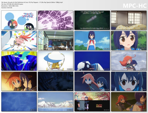 FlipFlappers01.jpg