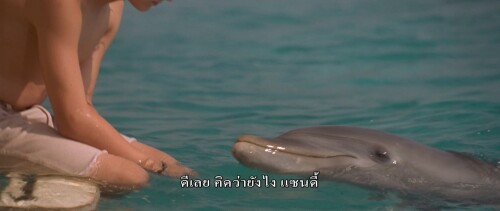 Flipper.1996.1080p.iT.WEB-DL.DDP5.1.H264Argon.mkv_snapshot_01.24.31.695.jpg