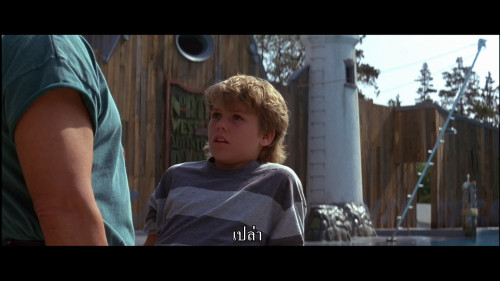 Free.Willy.1993.1080p.YTM.WEB-DL.DDP2.0.H264Argon.mkv_snapshot_00.21.13.389.jpg
