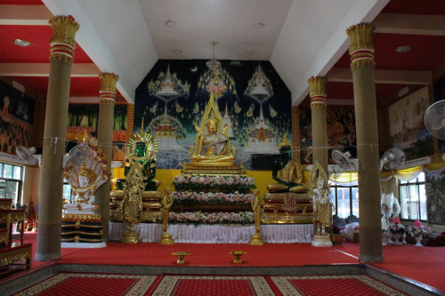 IMG_0379_resize.jpg