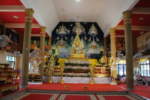 IMG_0384_resize.jpg