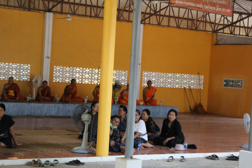 IMG_0488_resize.jpg