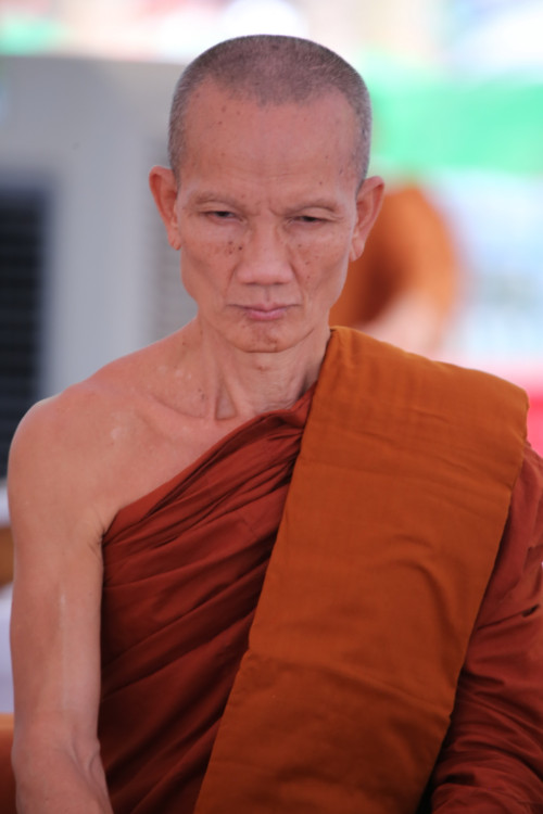 IMG_0838_resize.jpg