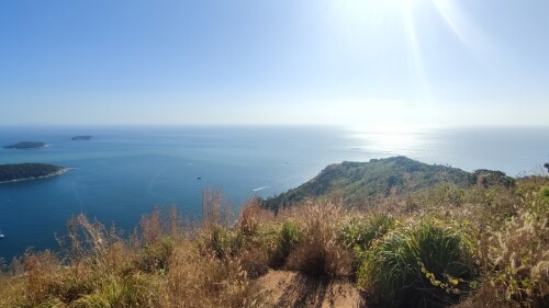 IMG_20240128_160856.jpeg