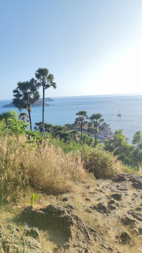 IMG_20240128_170627.jpeg
