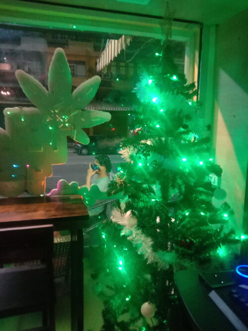 IMG_25661205_235614.jpeg