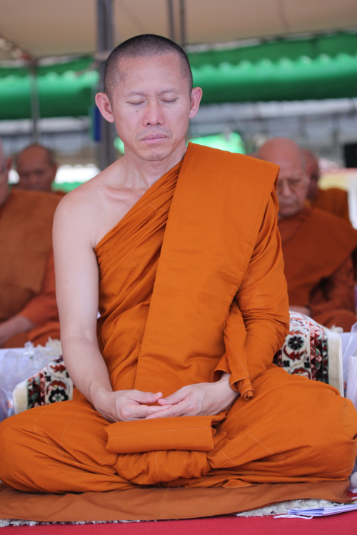 IMG_2588_resize.jpg