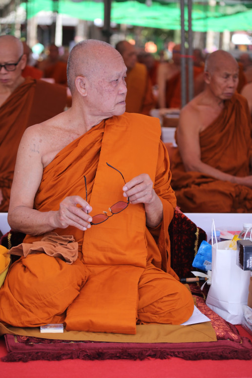 IMG_3046_resize.jpg