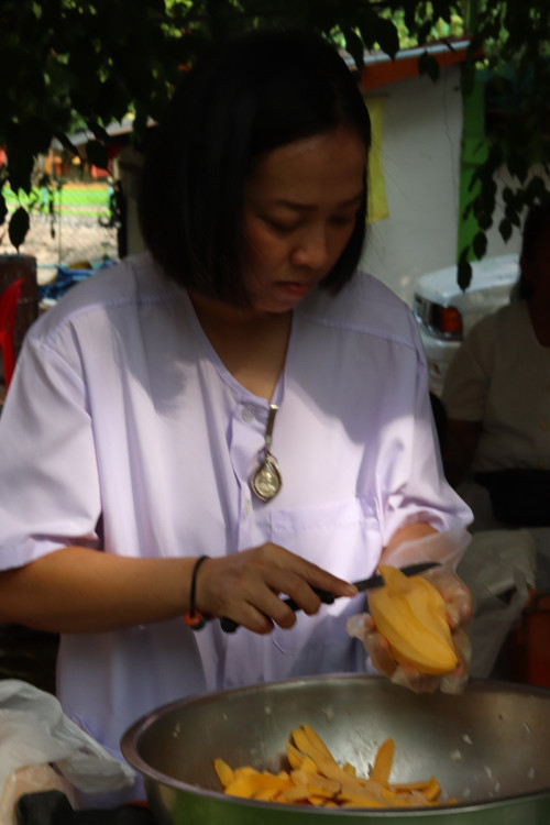 IMG_3230_resizeffbf77de10094c03.jpg