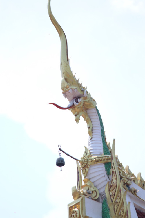 IMG_3861_resize.jpg