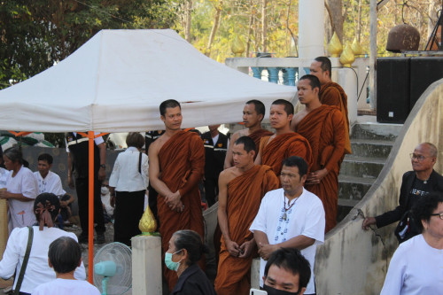 IMG_8457_resize.jpg