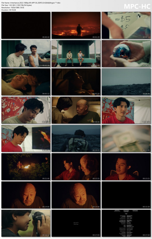 Inheritance.2022.1080p.NF.APP-DL.DDP2.0.H264Argon-.mkv_thumbs.jpg