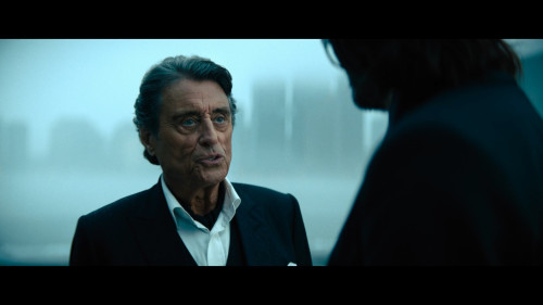John.Wick.Chapter.4.2023.1080p.NF.WEB-DL.DDP5.1.H264Argon-.mkv_snapshot_01.05.35.114.jpg