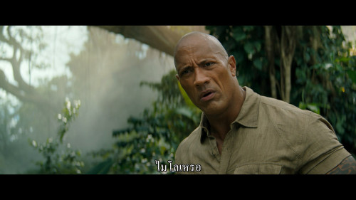 Jumanji.The.Next.Level.2019.1080p.AMZN.WEB-DL.DDP5.1.HEVC.H265Argon-.mkv_snapshot_00.18.37.330.jpg