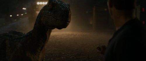 Jurassic.World.Fallen.Kingdom.2018.2160p.DV.HDR.iT.WEB-DL.DDP5.1.H265Argon-.mkv_snapshot_01.55.59.577.jpg